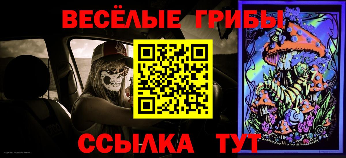 Южноуральск  Псилоцибиновые грибы Psilocybe  Вход с VPN 